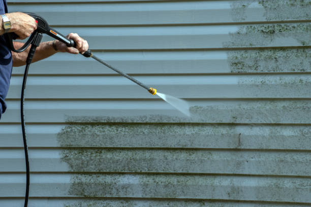 Best Roof Cleaning and Mildew Removal in USA